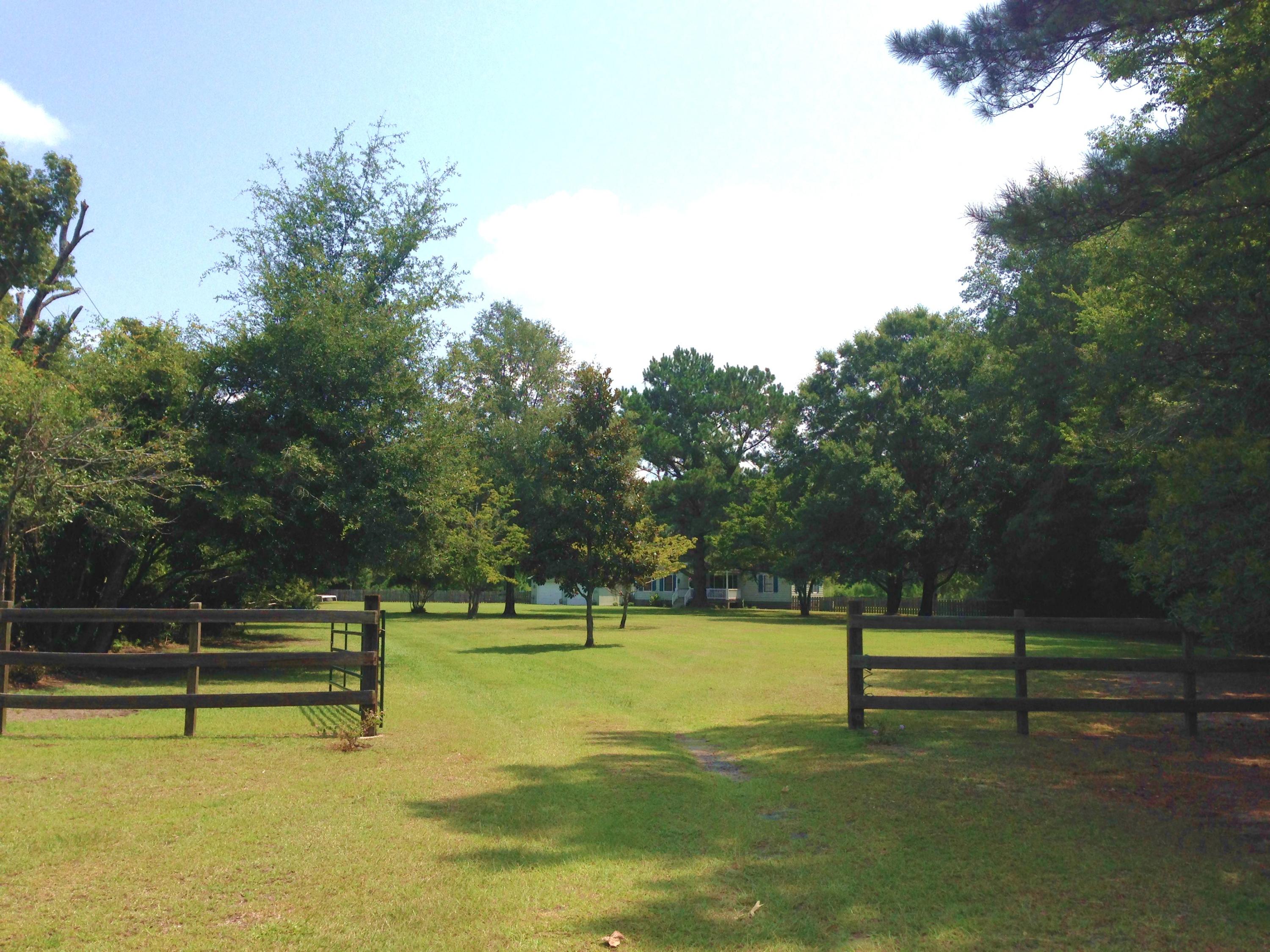 6521 Foxfire Road Wadmalaw Island, SC 29487 - Photo 3 of 3 012