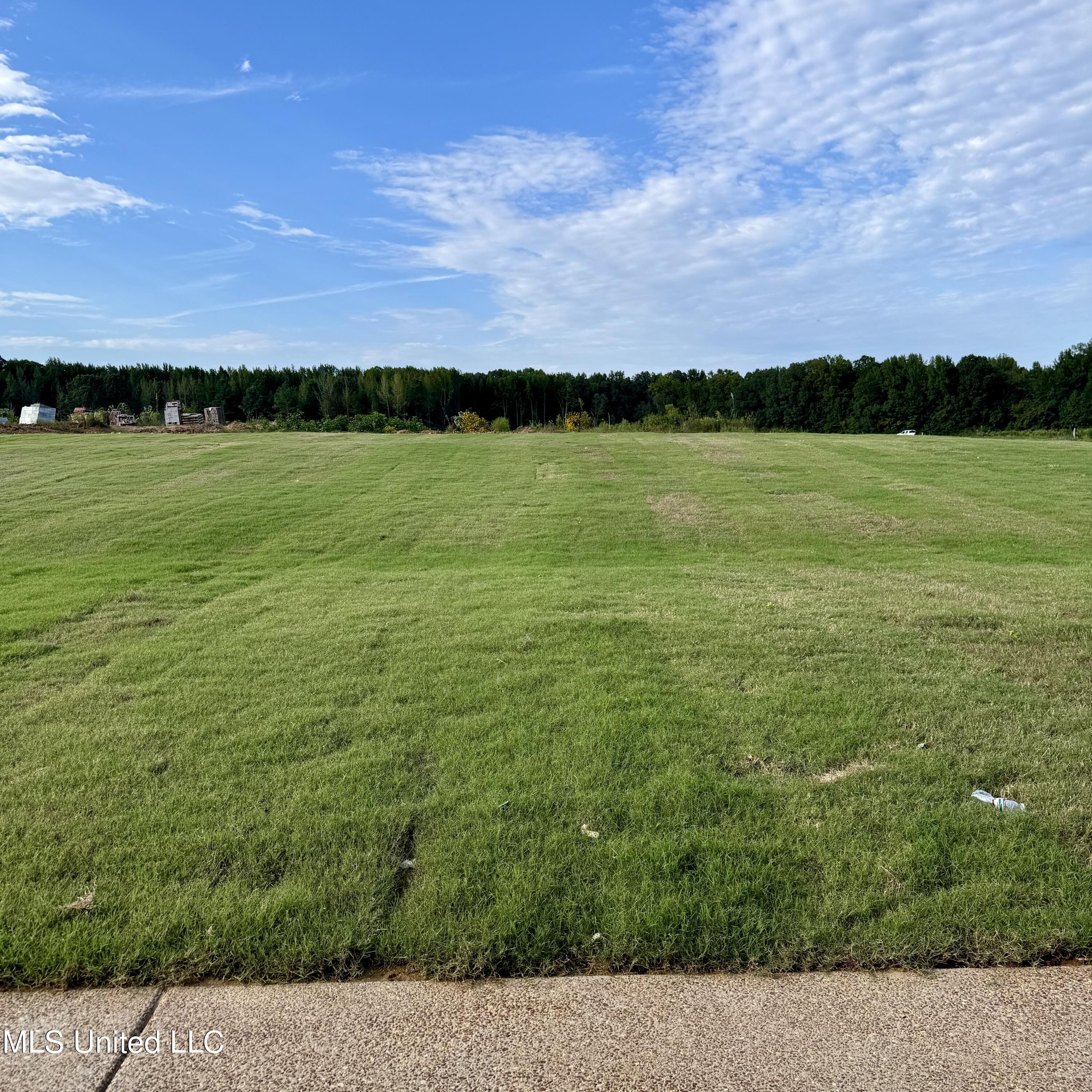 7642 Crosswinds Boulevard Hernando, MS 38632 - Photo 54 of 55 Iris back yard