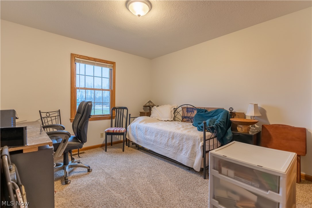 853 Stroup Road Atwater, OH 44201 - Photo 17 of 35