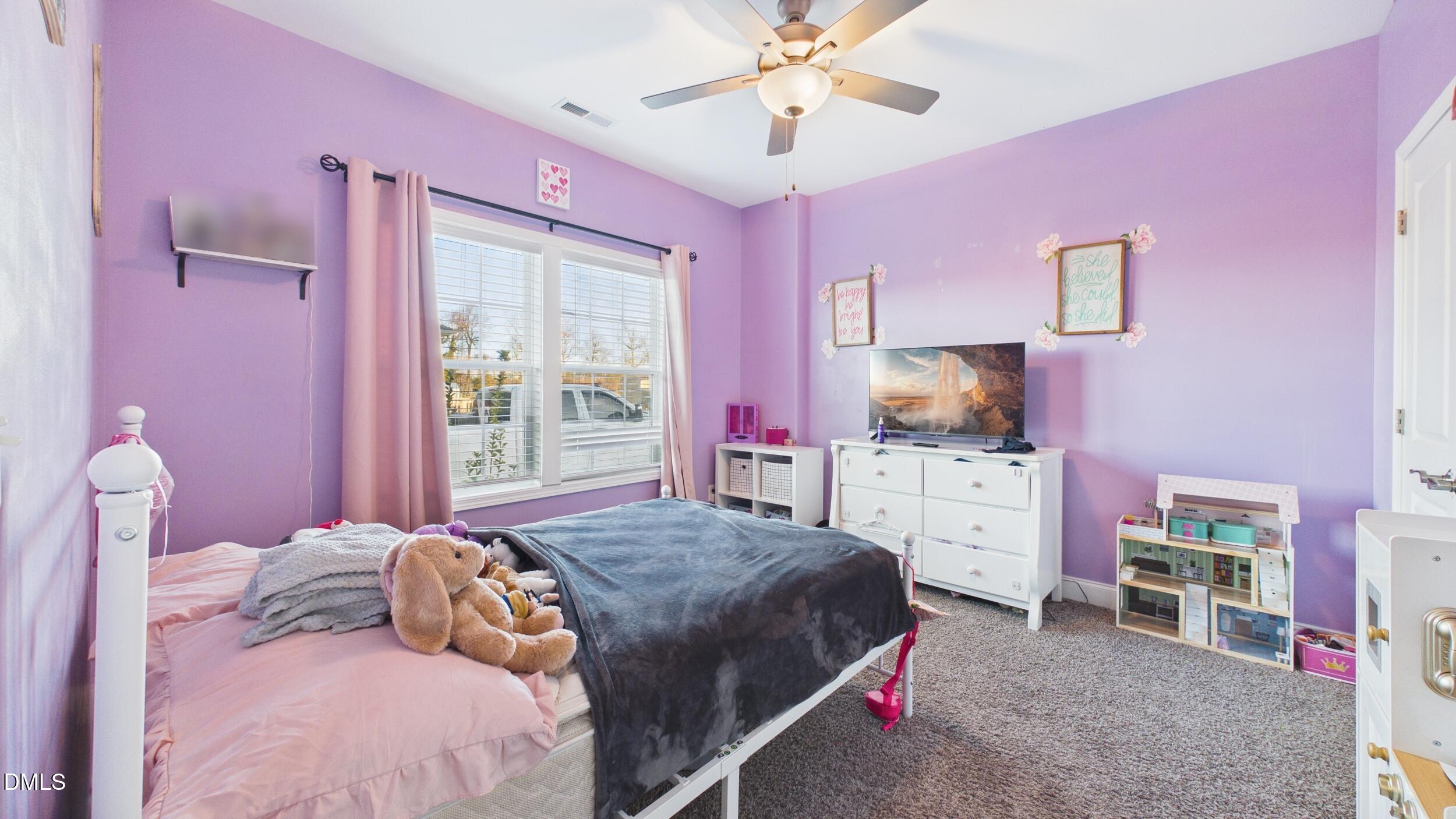 5930 Old 421 Road Liberty, NC 27298 - Photo 20 of 42 ultra estate tours 020