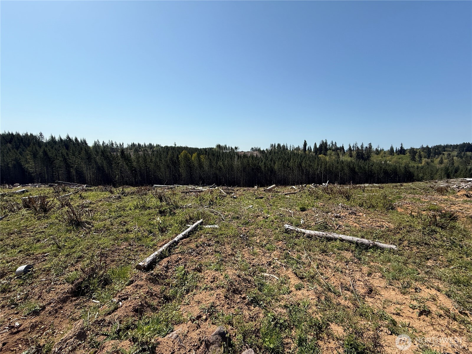 7-xx Centralia Alpha Road Chehalis, WA 98532 - Photo 4 of 9