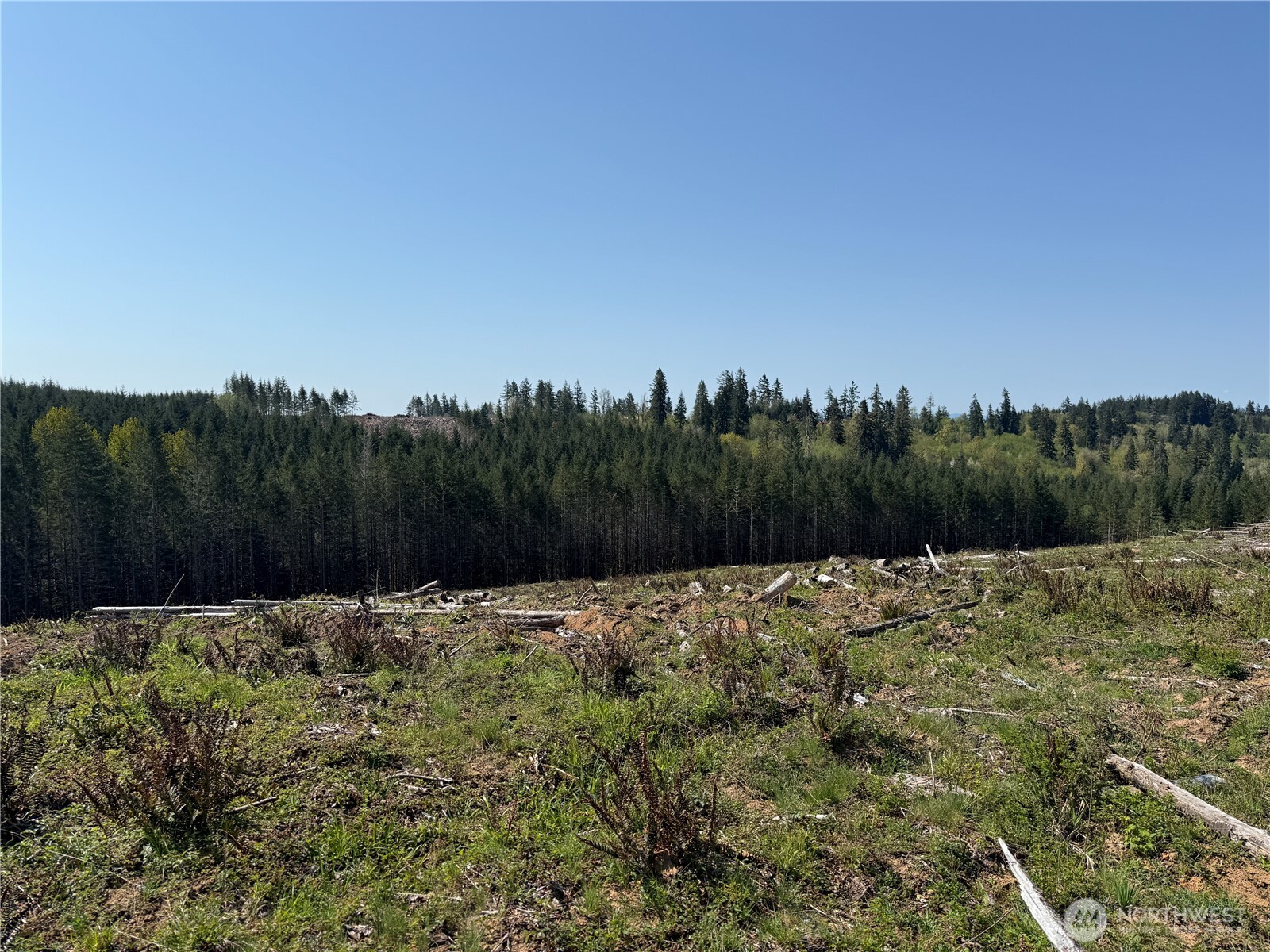 7-xx Centralia Alpha Road Chehalis, WA 98532 - Photo 7 of 9