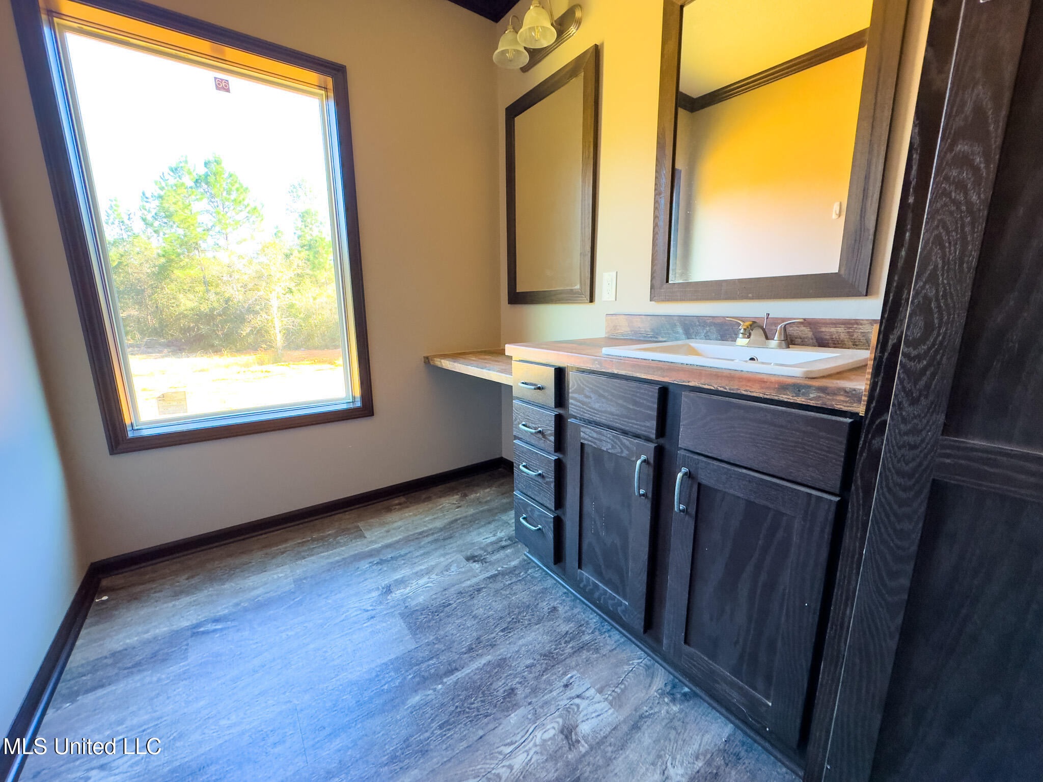 76 CCC Road Perkinston, MS 39573 - Photo 12 of 24 Master Bath Vanity 1
