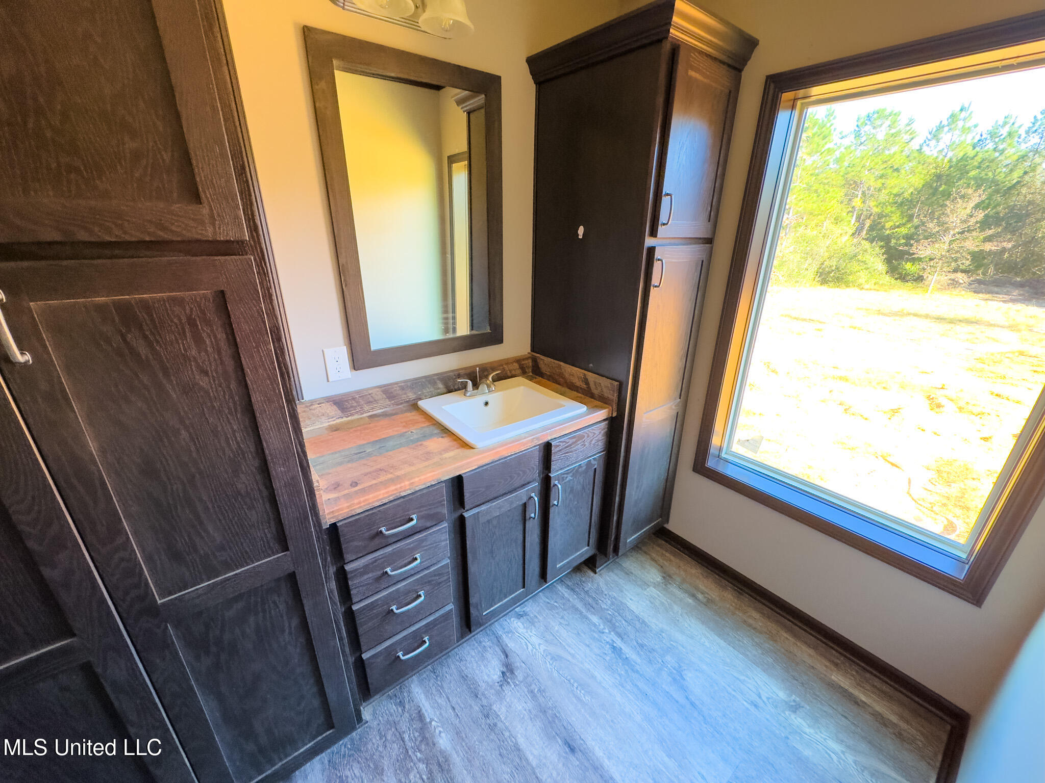 76 CCC Road Perkinston, MS 39573 - Photo 14 of 24 Master Bath Vanity 2
