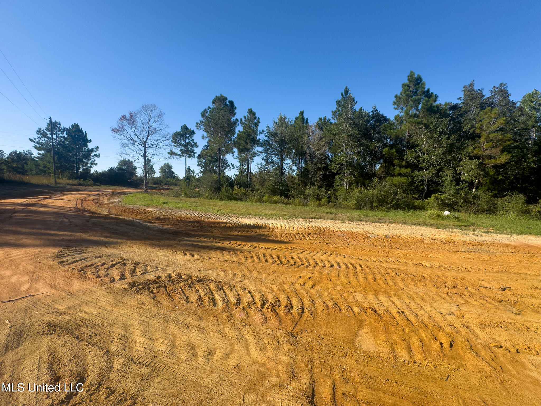 76 CCC Road Perkinston, MS 39573 - Photo 6 of 24 Driver Way