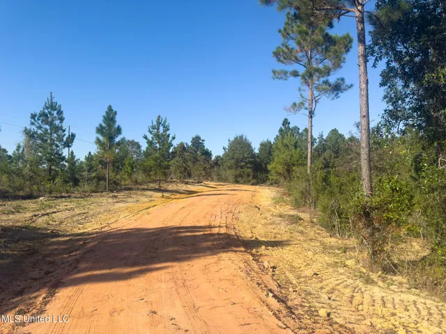 $350,000 | 76 CCC Road, Perkinston, MS 39573