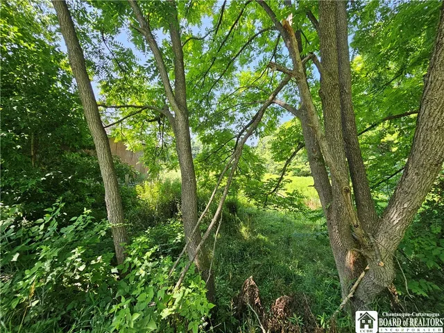 $39,900 | 1493 Flanigan Road, Hinsdale, NY 14743