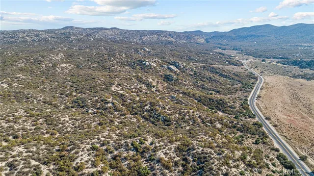 an aerial view of houses covered in trees