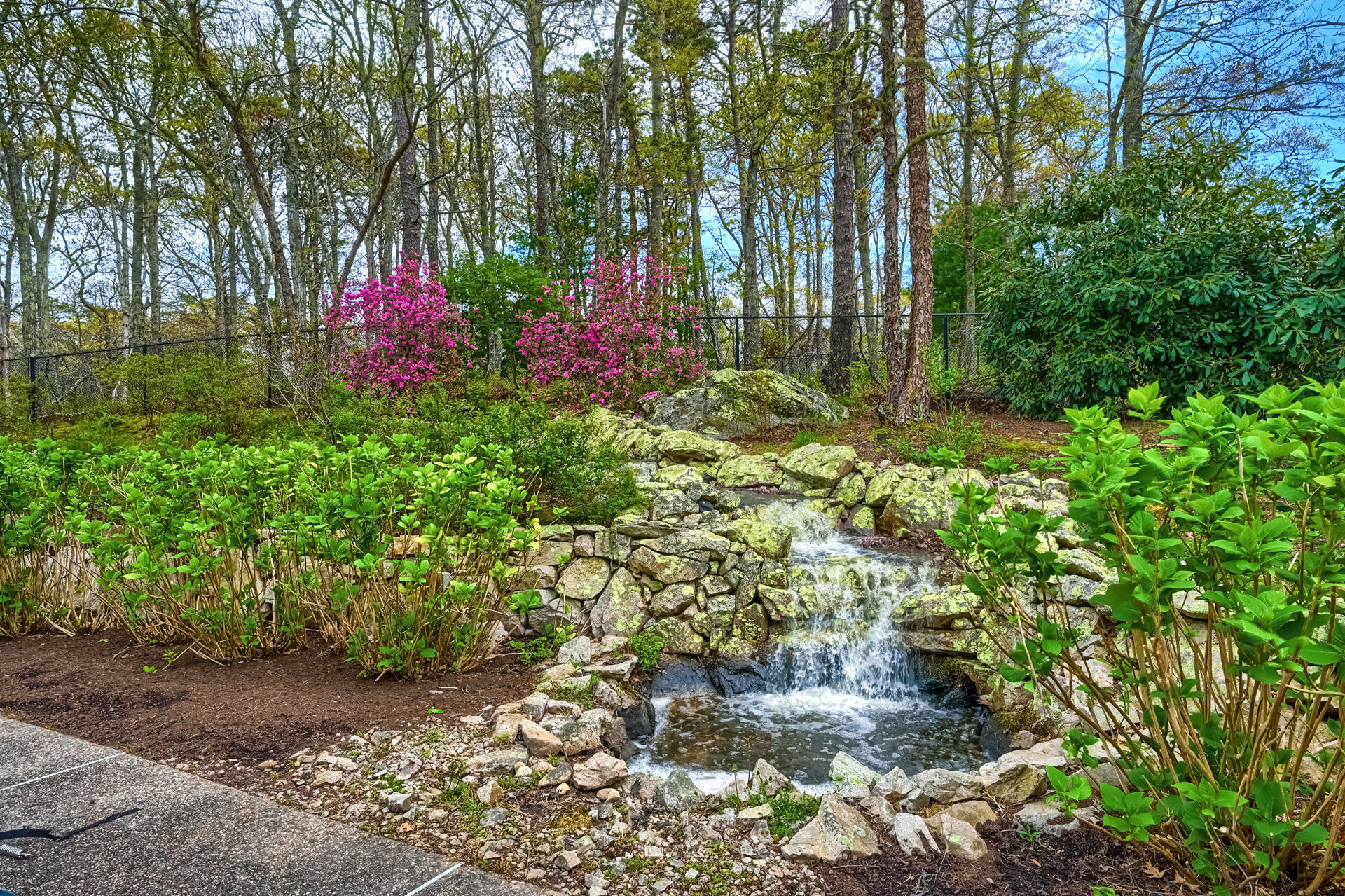 15_Backyard_IMG_6877