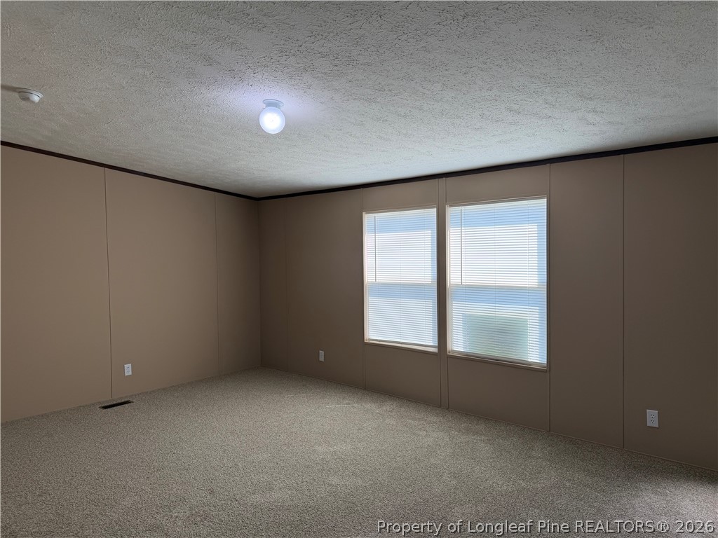 4339 Saddletree Road Lumberton, NC 28360 - Photo 10 of 23 an empty room with windows