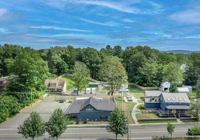 an aerial view of residential houses with outdoor space and trees