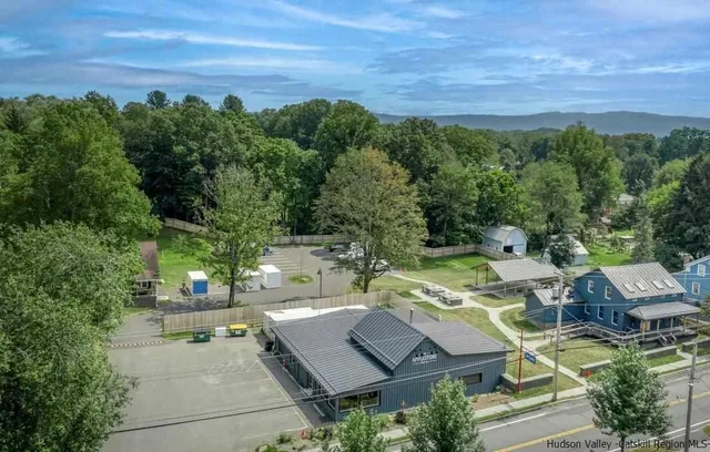 an aerial view of residential houses with outdoor space and trees