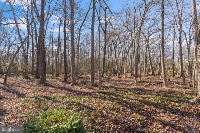 a backyard of a house with lawn chairs and plants