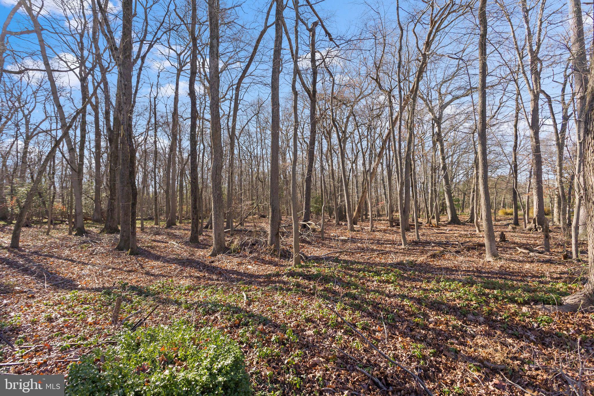 8 Kettlebrook Drive Mount Laurel, NJ 08054 - Photo 32 of 37 a view of a backyard with large trees