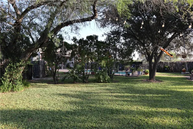 a view of a backyard