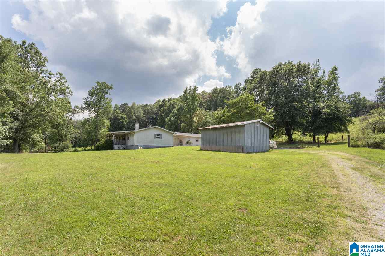 881 Douglas Lane Oneonta, AL 35121 - Photo 20 of 27