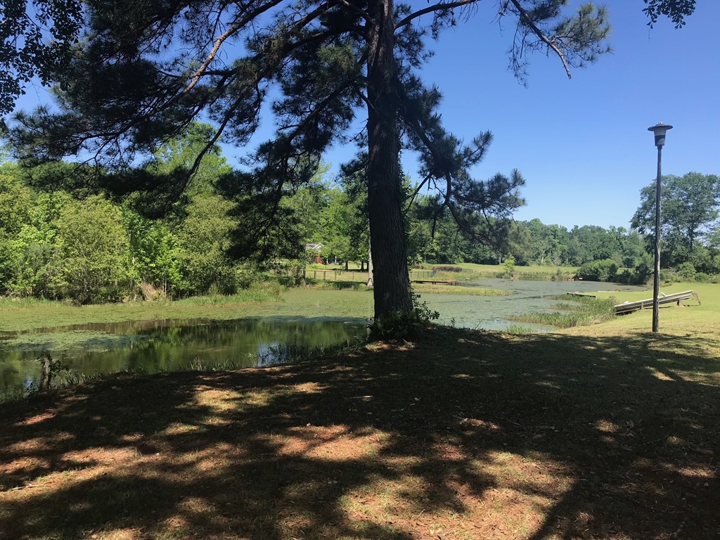 0 South Co Road Ashford, AL 36312 - Photo 6 of 7