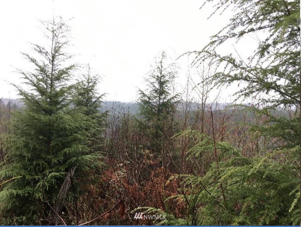 12 X Boley Road Elma, WA 98541 - Photo 3 of 5 Gallery Image 3