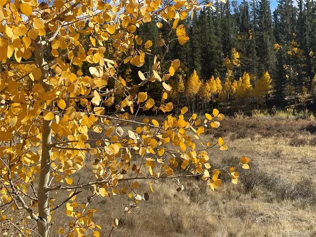 $27,000 | 581 Longbow Drive, Como, CO 80456