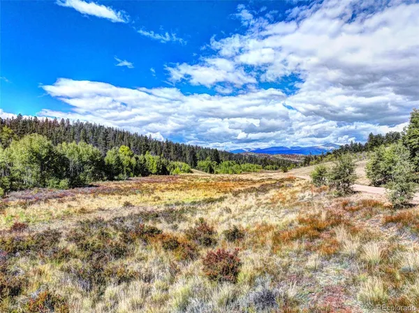 a view of a yard with an outdoor space
