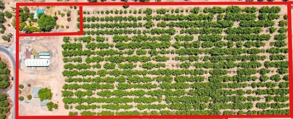 $599,000 | 774 Lattin Road, Biggs, CA 95917