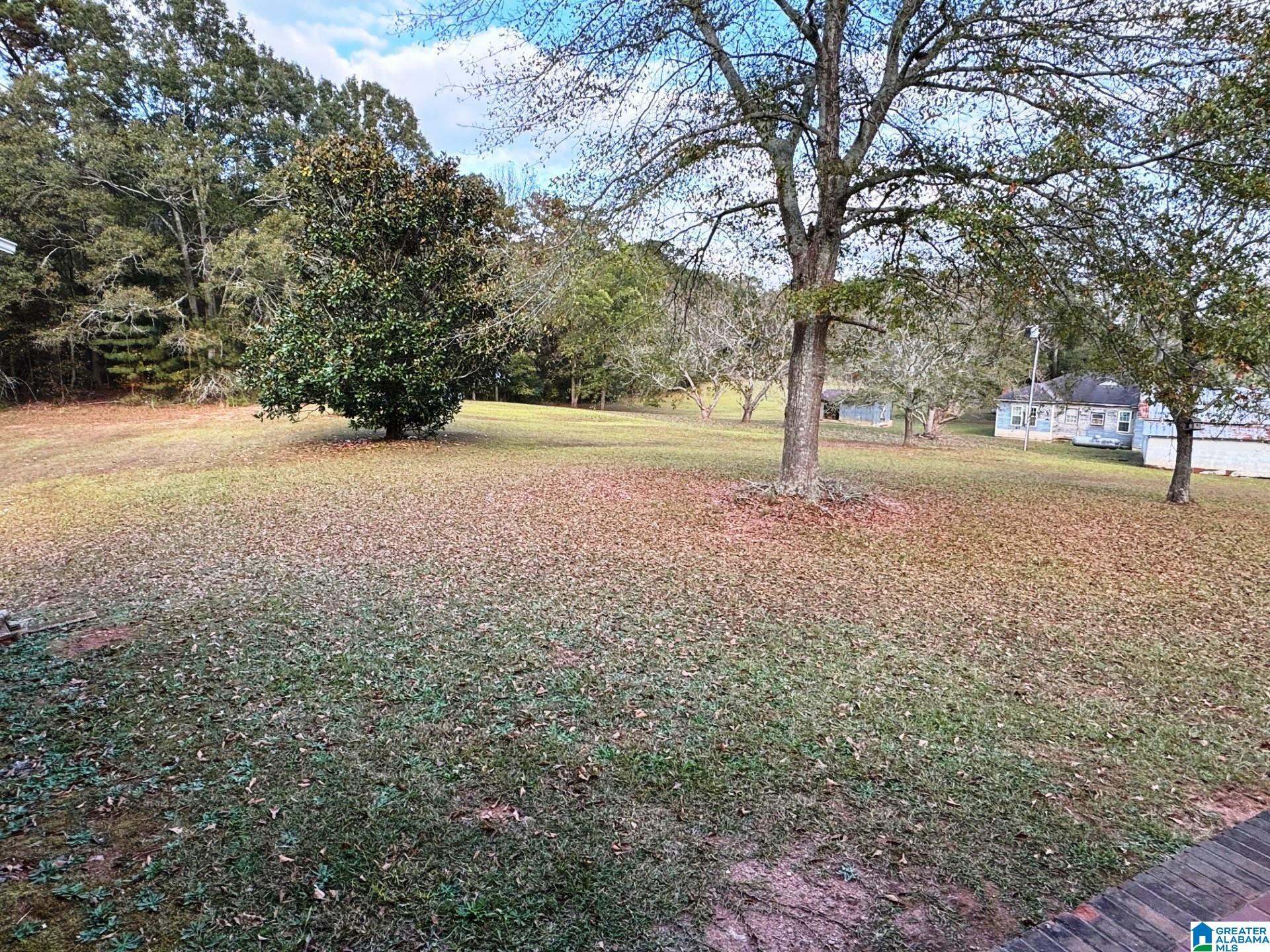 83 Barfield School Road Lineville, AL 36266 - Photo 39 of 42