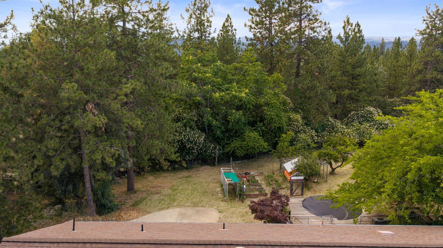 9340 Mosquito Road Placerville, CA 95667 - Photo 89 of 92