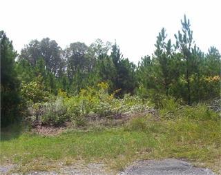 53 Bishop Pond Road Chatsworth, GA 30705 - Photo 1 of 1 Main View