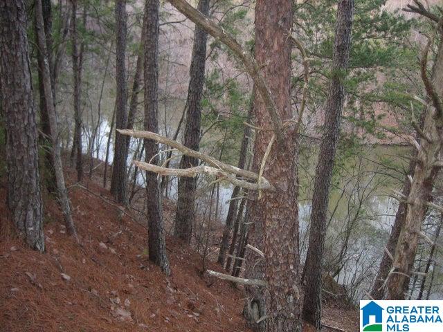 Taylors Ferry Road, Unit 13 Parrish, AL 35580 - Photo 2 of 3