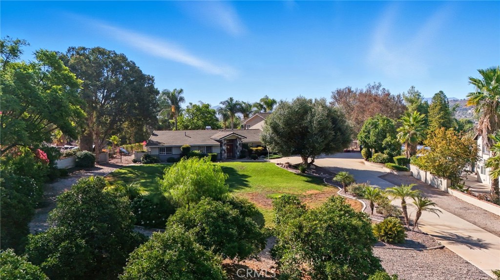 15901 Viewpoint Road Riverside, CA 92504 - Photo 6 of 46 a view of a garden