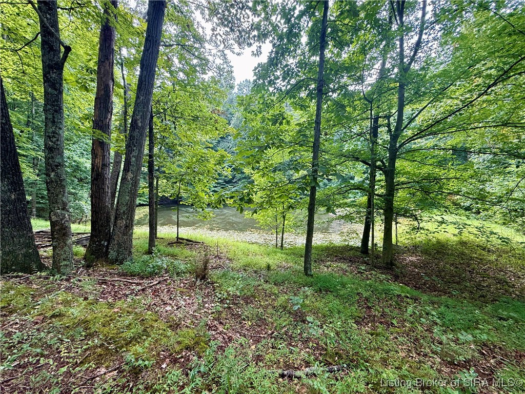 2032 West Goat Hollow Road Vallonia, IN 47281 - Photo 33 of 39