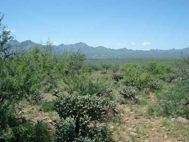 1835 Camino Amatista Rio Rico, AZ 85648 - Photo 4 of 5
