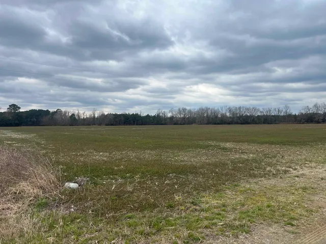 $1,099,000 | Centerville Road, Latta, SC 29565