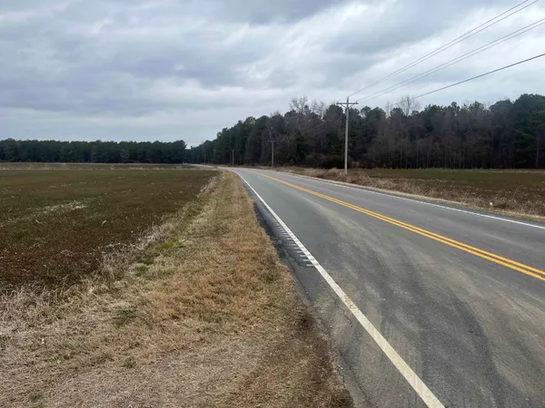 $1,099,000 | Centerville Road, Latta, SC 29565