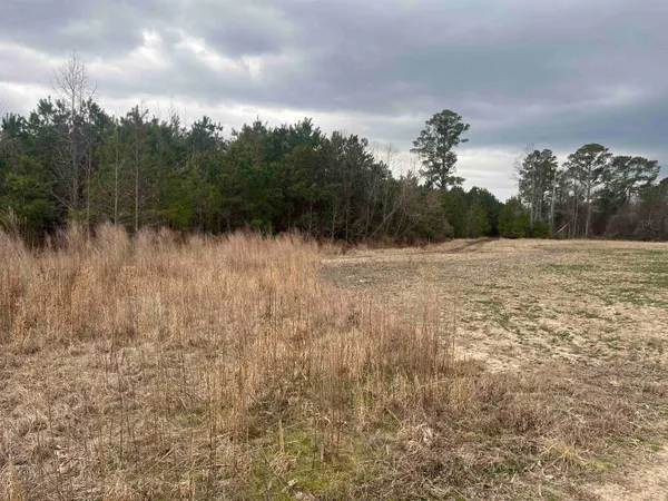 $1,099,000 | Centerville Road, Latta, SC 29565