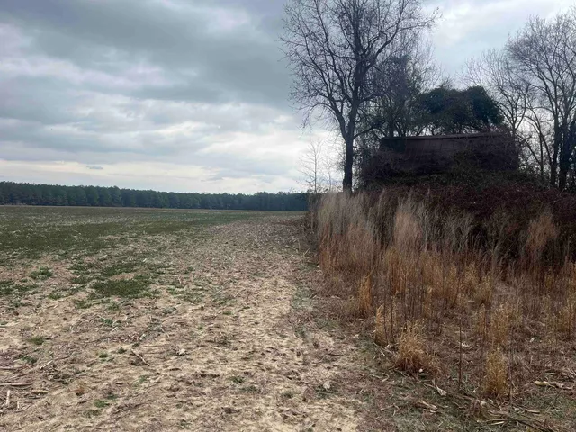 $1,099,000 | Centerville Road, Latta, SC 29565