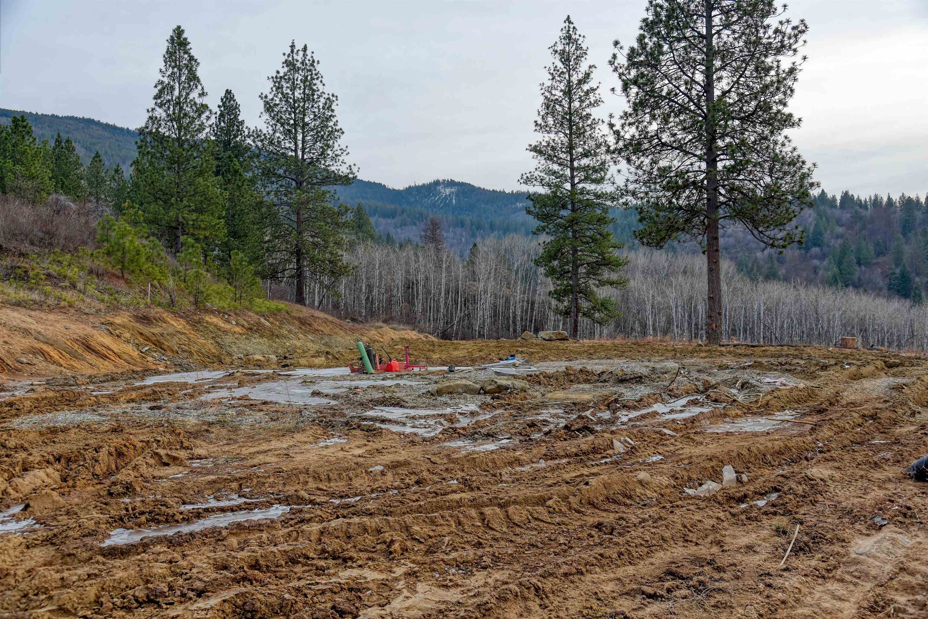 23422 East Henry Road Greenacres, WA 99016 - Photo 34 of 36