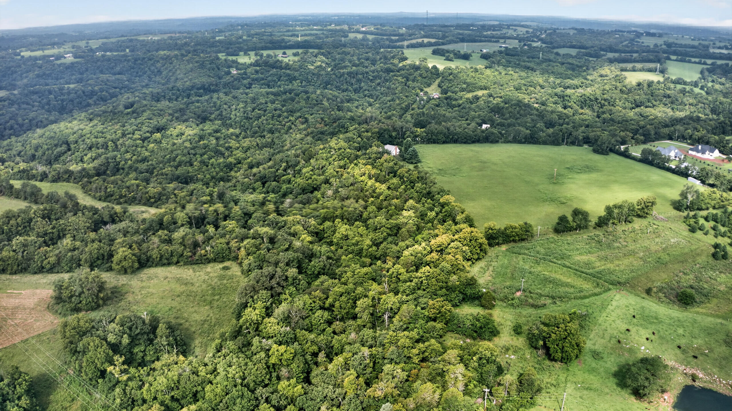 405 Lone Oak Road Wilmore, KY 40390 - Photo 69 of 81 168