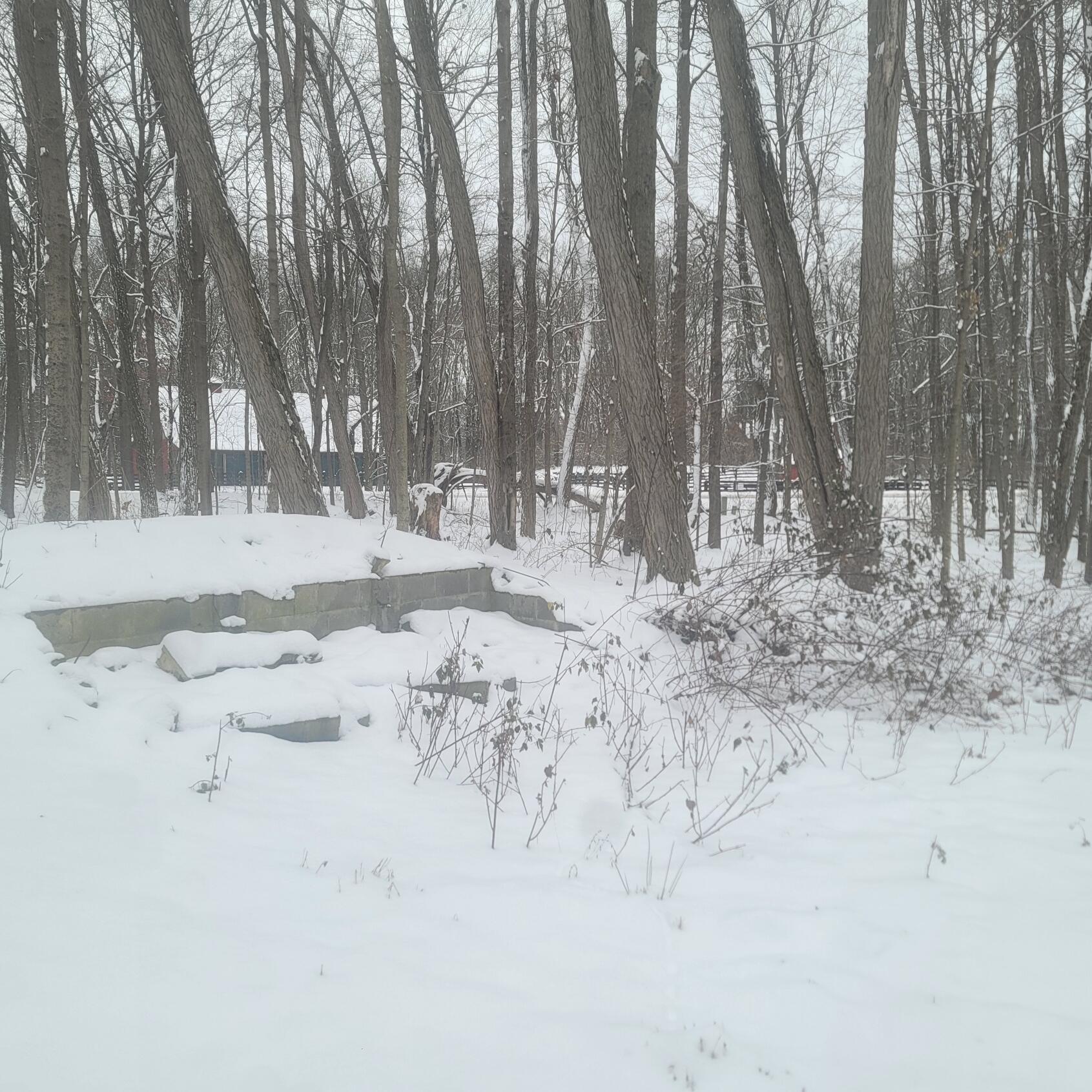 10400 Corey Bluff Road Three Rivers, MI 49093 - Photo 2 of 13 20250111_141247