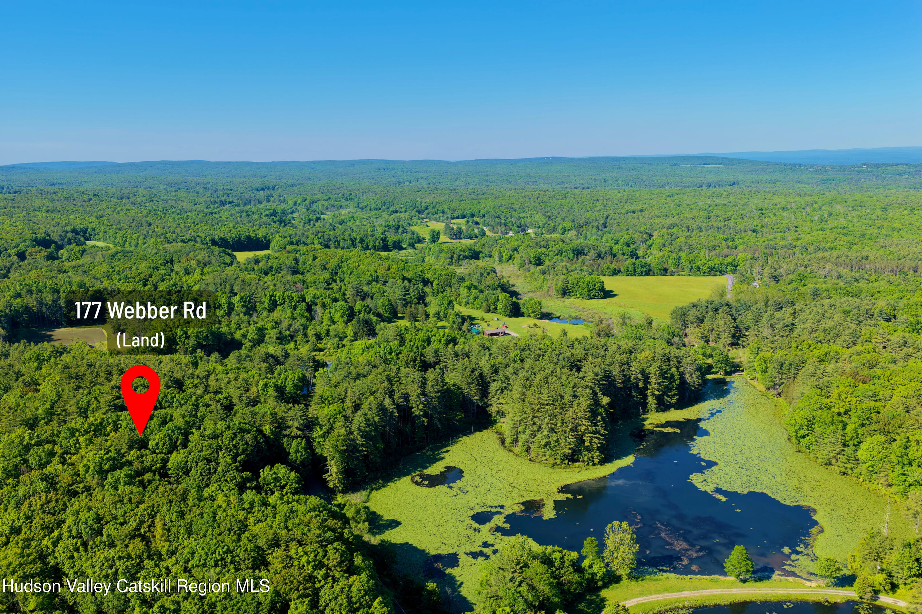 177 Webber Road Earlton, NY 12058 - Photo 47 of 50 a view of a garden