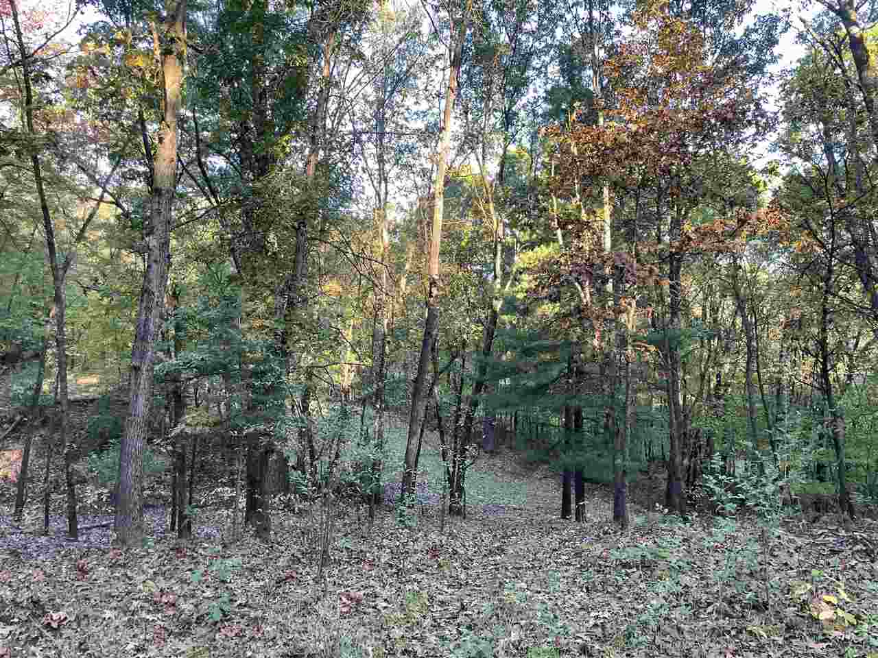 333 Barron Drive Ada, MI 49301 - Photo 1 of 14