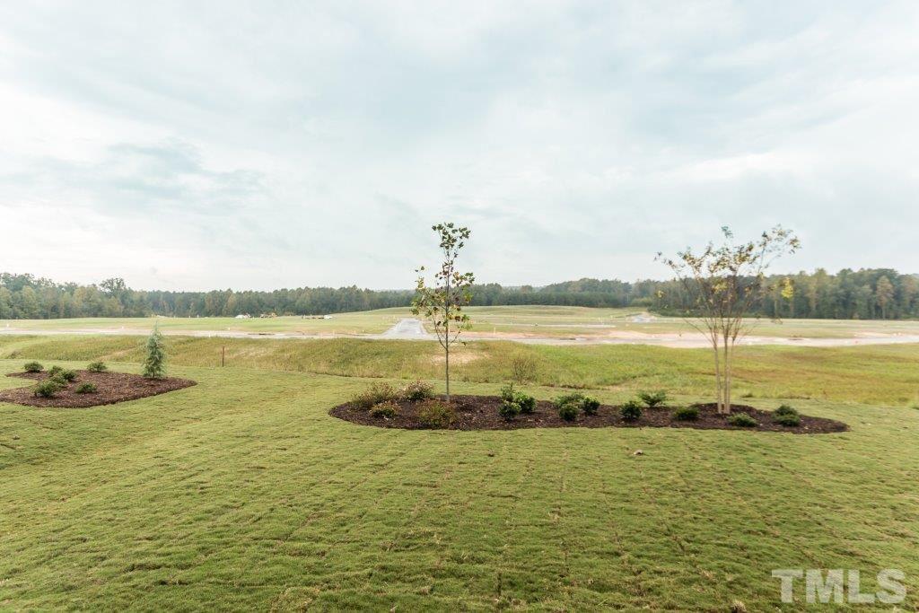 208 Liberty Star Road Wendell, NC 27591 - Photo 17 of 25 Gallery Image 17