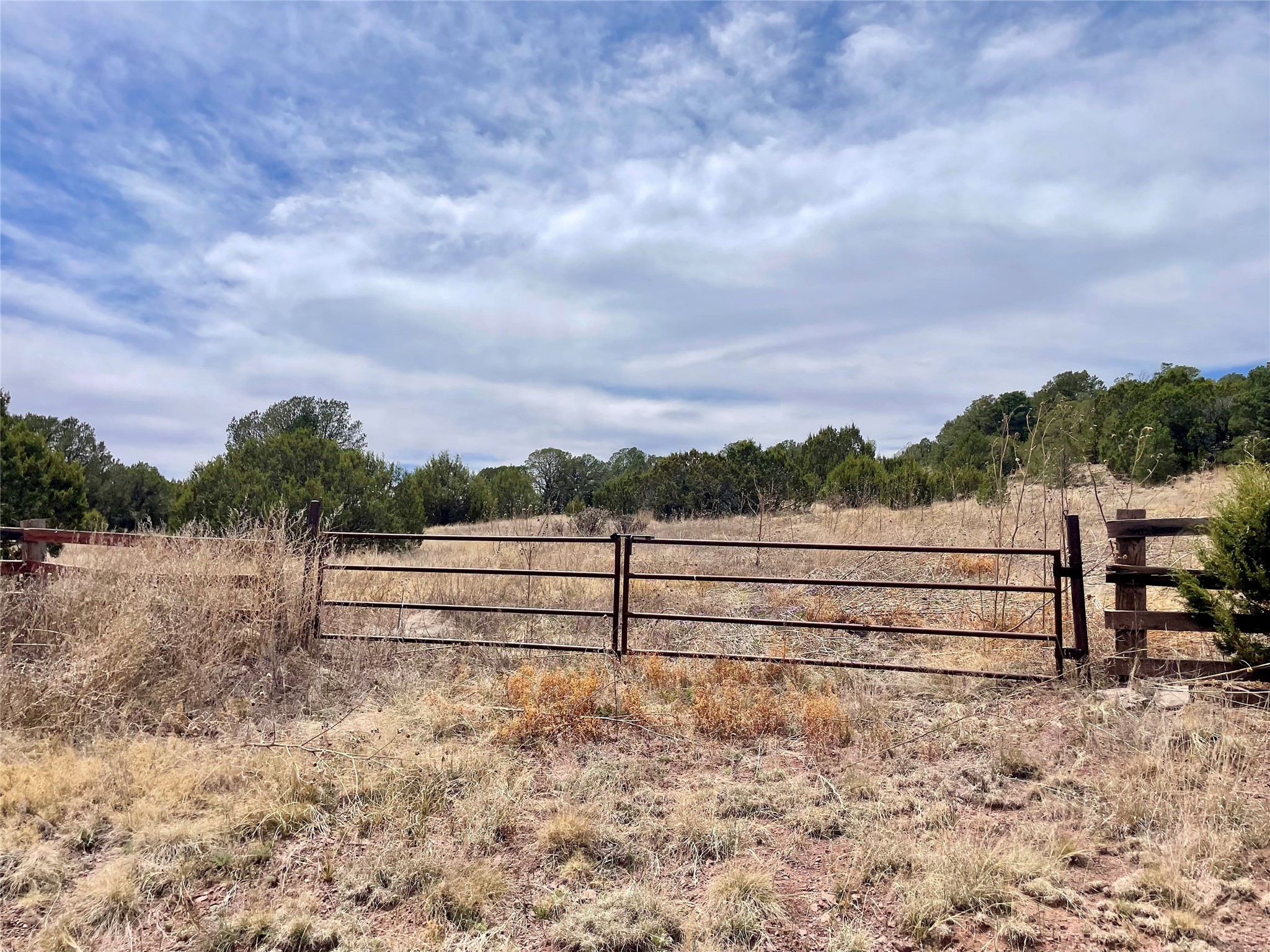 331 Mirasol Road Las Vegas, NM 87701 - Photo 2 of 14
