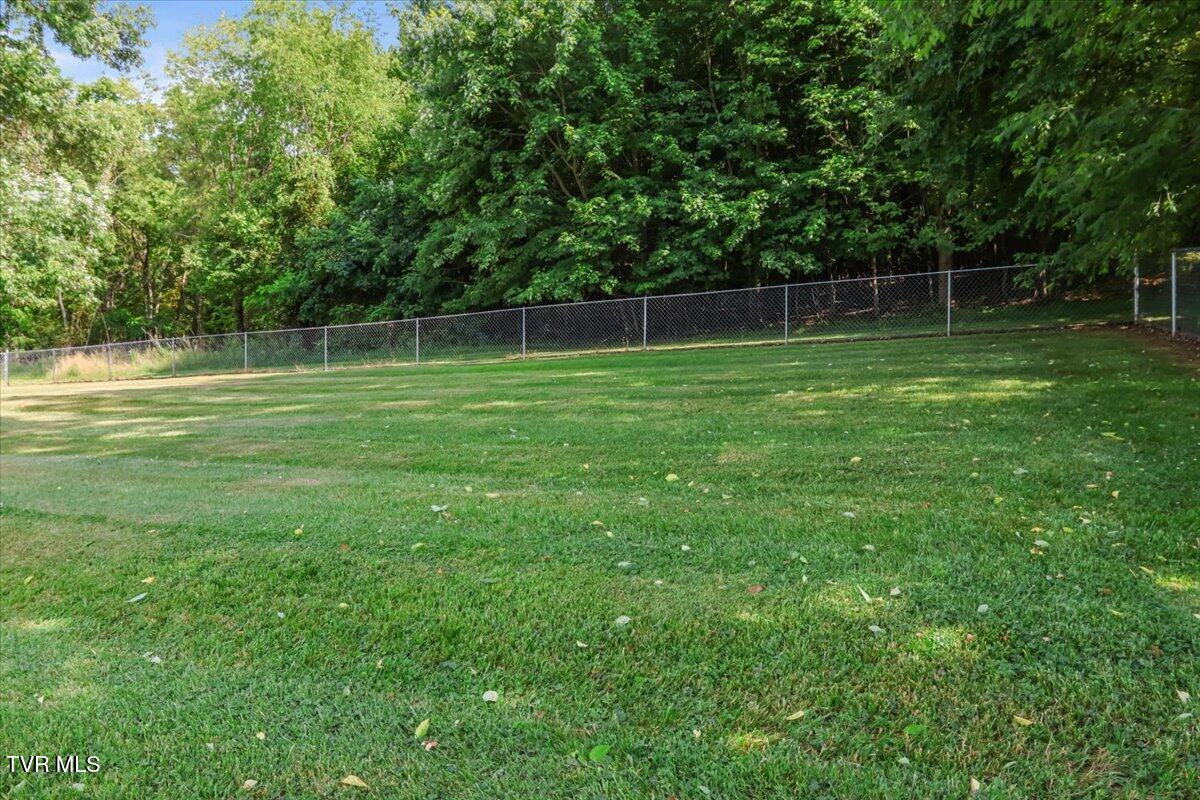 744 South Austin Springs Road Johnson City, TN 37601 - Photo 39 of 74 39-IMG_8350