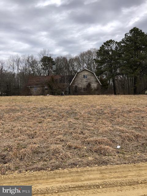 26450 Trunk Line Road Marydel, MD 21649 - Photo 2 of 2 Large Country Lot