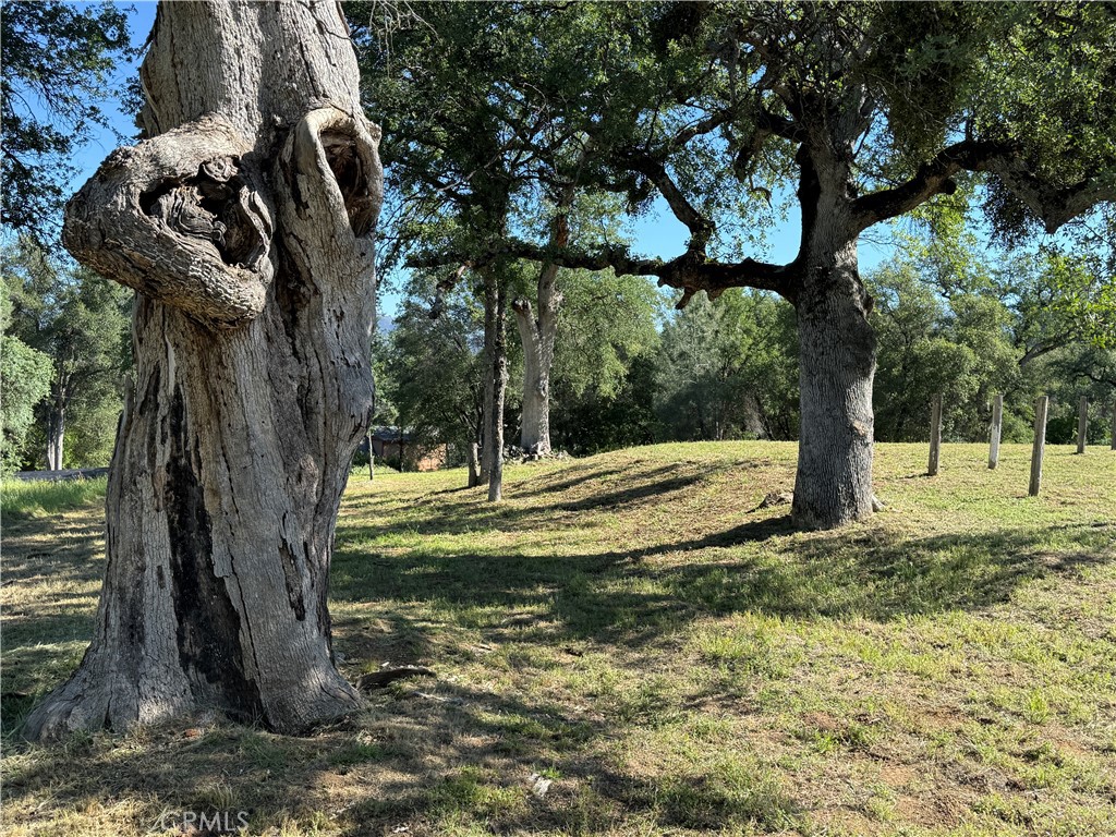 4952 Hidden Springs Road Mariposa, CA 95338 - Photo 51 of 63
