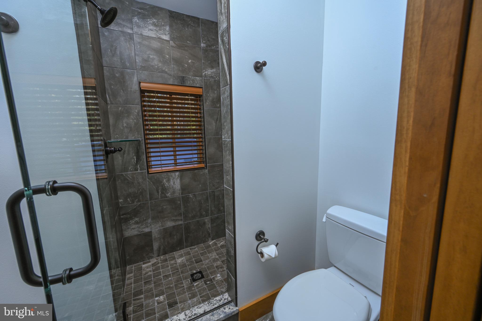 3135 Turkey Neck Road Swanton, MD 21561 - Photo 48 of 74 a bathroom with a toilet and a shower