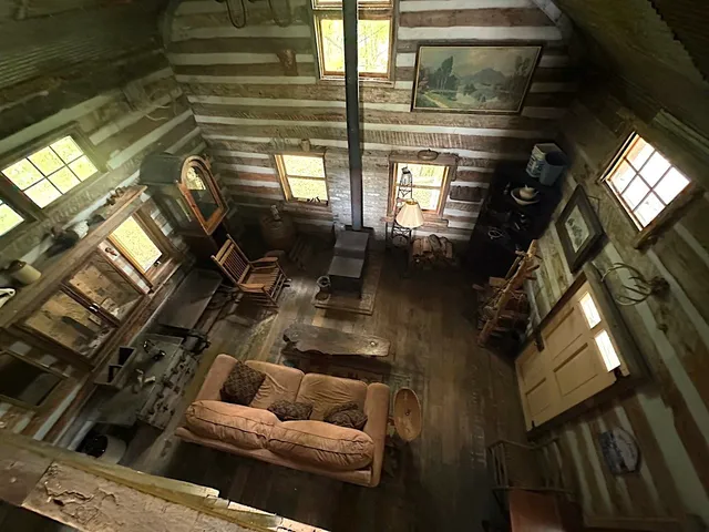 a view of a backyard with potted plants and large tree