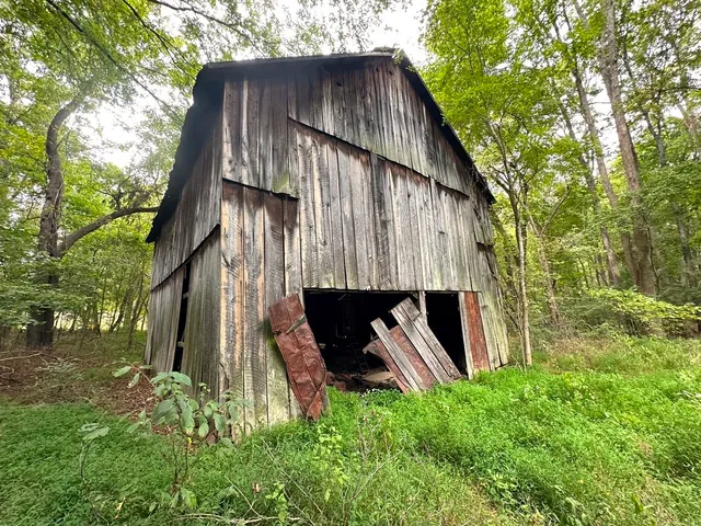 a view of yard with green space