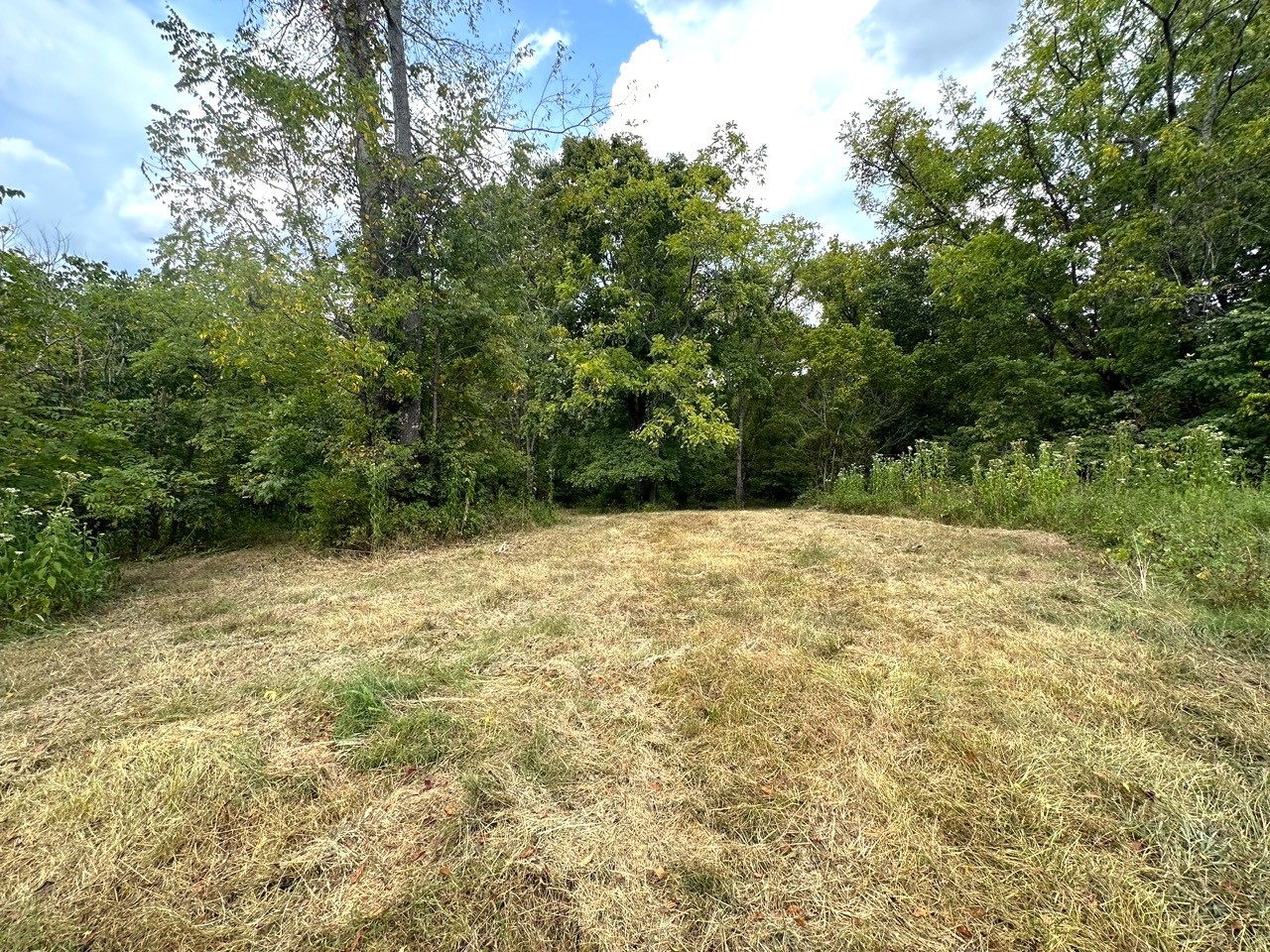 1 Burgess Gower Road Springfield, TN 37172 - Photo 14 of 15